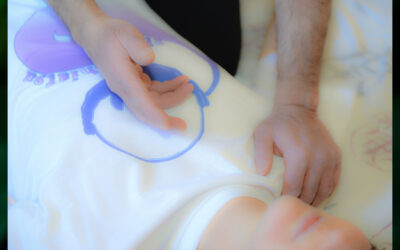 L&rsquo;ARTIGIANO E LA FARFALLA Il Vuoto e lo Yin, il principio femminile nello Shiatsu