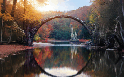 IL DIAFRAMMA TRA QI E SANGUE