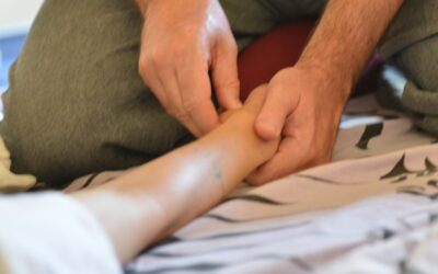 LA VITA RACCONTATA ATTRAVERSO LE EMOZIONI &ndash; I CANALI LUO E IL SANGUE